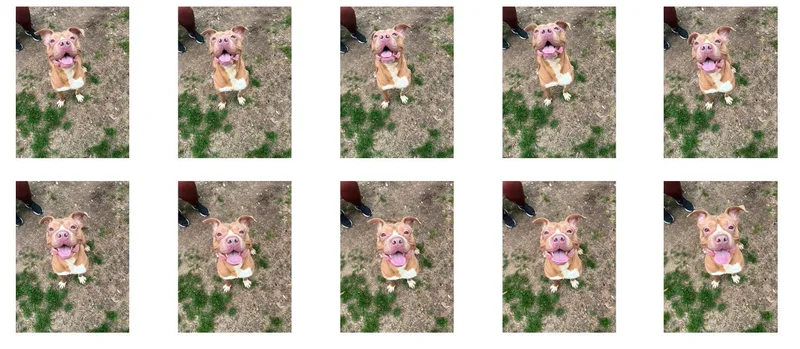 Athena thumbnail 3