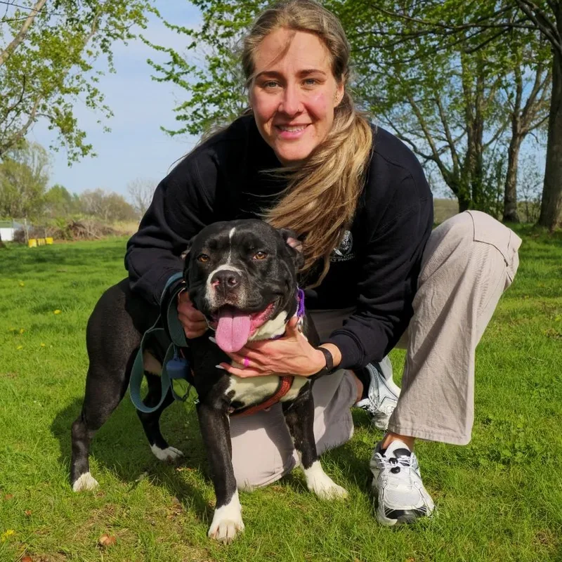 A young medium-sized female Black Terrier dog named Gucci for adoption in Elyria, OH