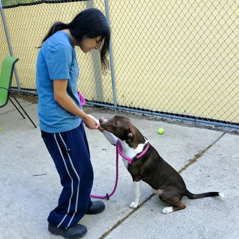 Hershey thumbnail 2