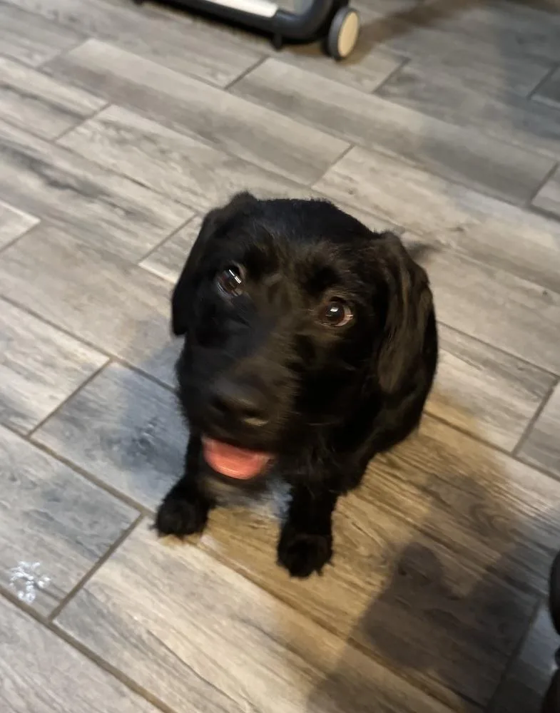 Teagan thumbnail 2