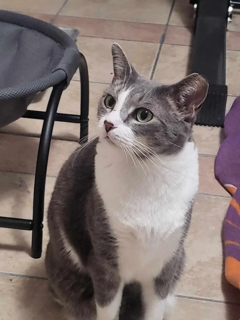 Spunky & Smokey thumbnail 4