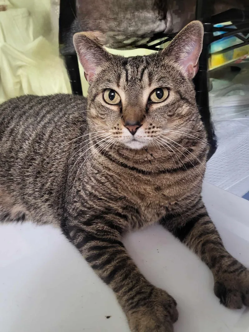 Spunky & Smokey thumbnail 5