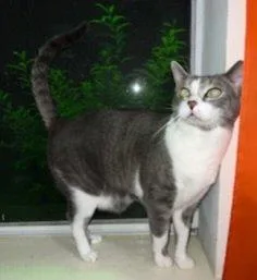 Spunky & Smokey thumbnail 6