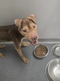 Da  Aiko thumbnail 2