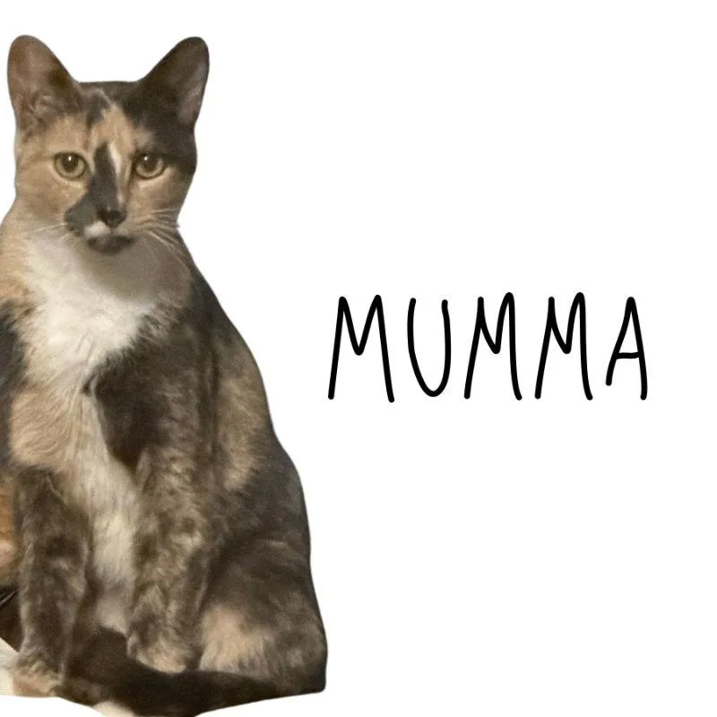 Mumma