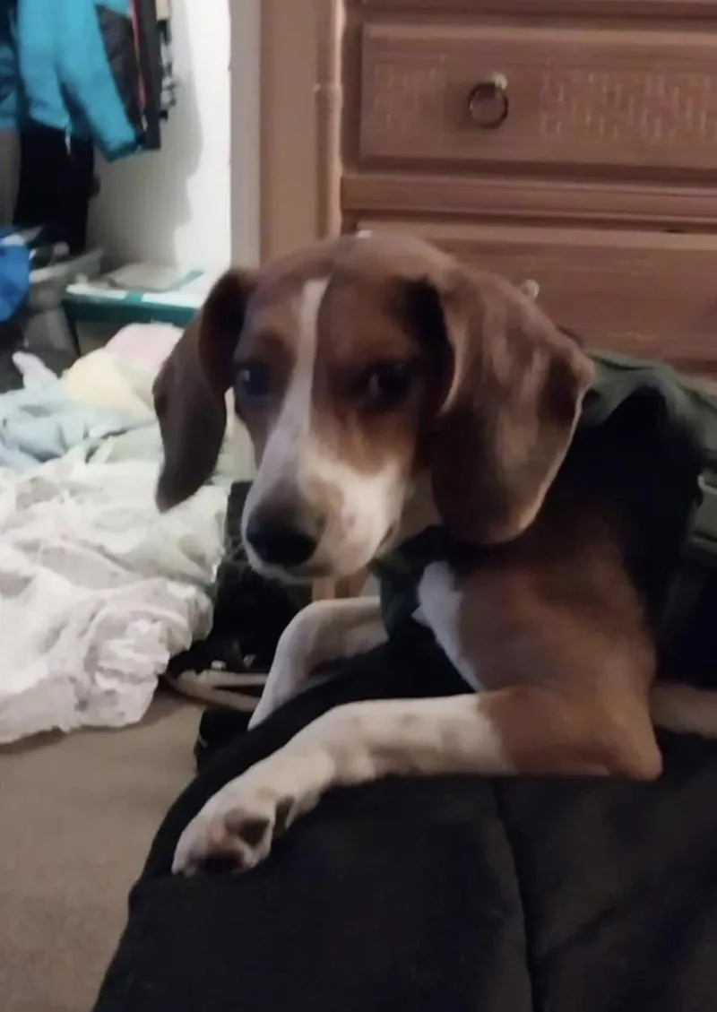 Ferris best boy seeking thumbnail 5