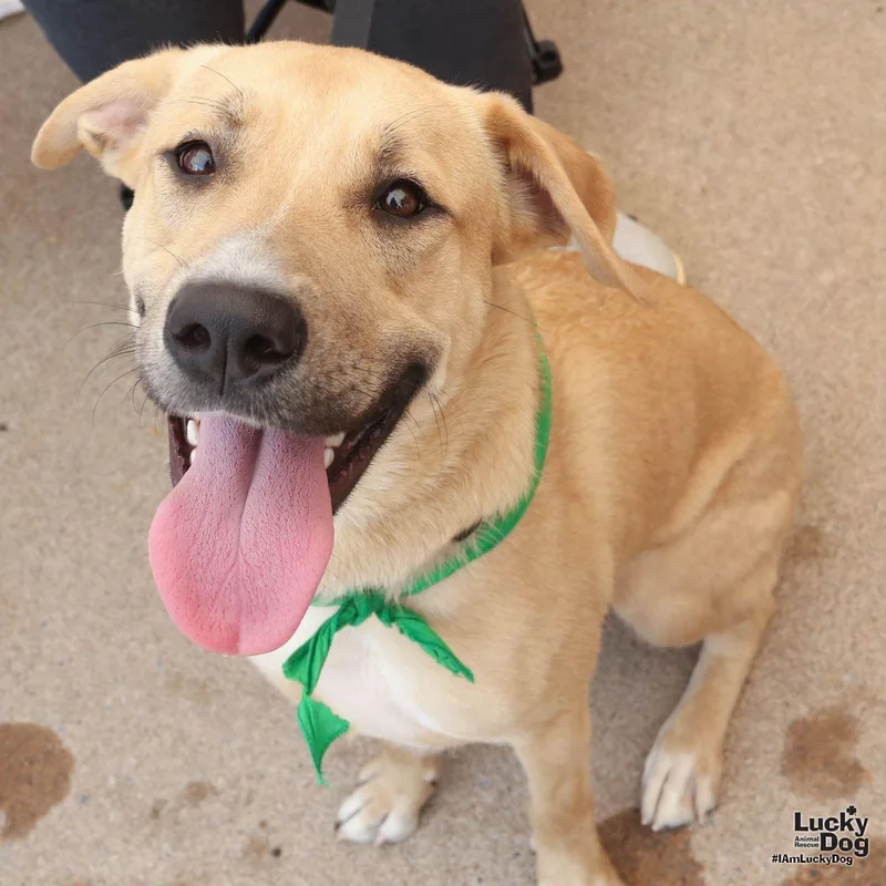 Flo thumbnail 3