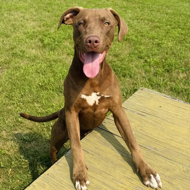 Ernie