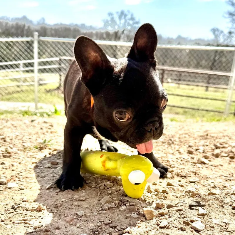 Booker  Missouri Mr thumbnail 5