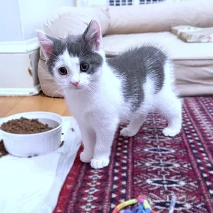 Mimi thumbnail 3