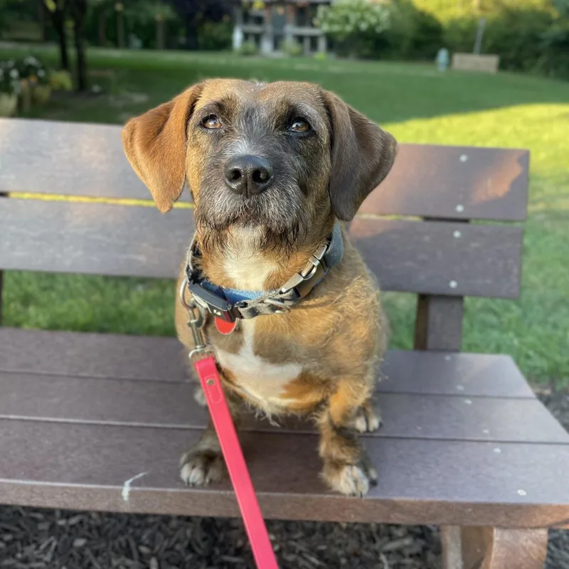 Starship thumbnail 6