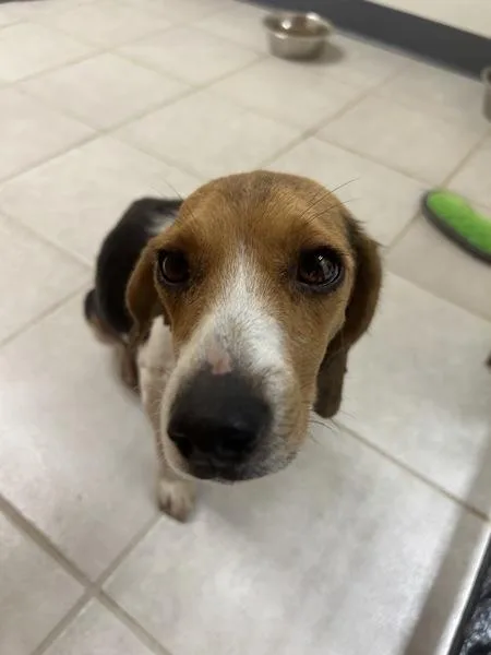 Bonnie