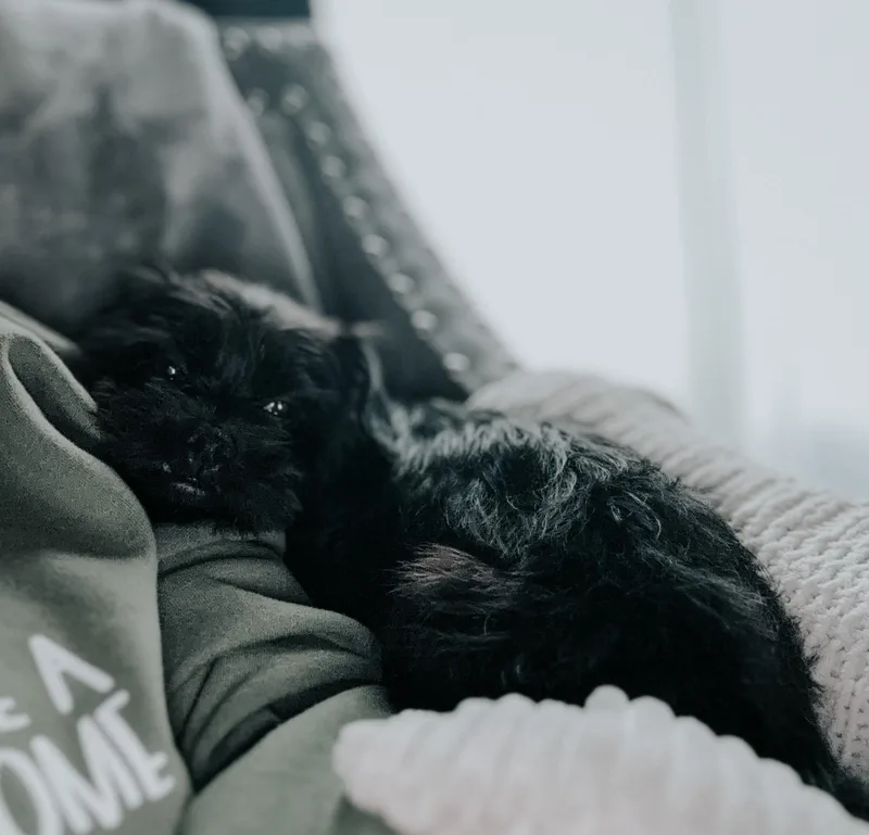 Jenna thumbnail 5