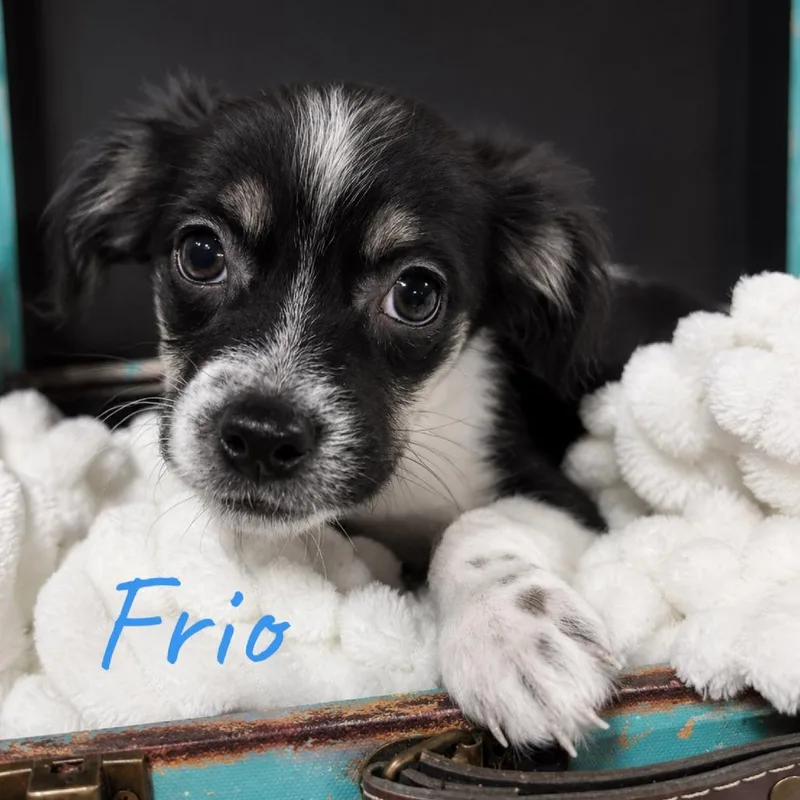 Frio thumbnail 2