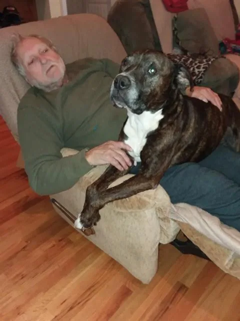 A senior medium-sized male Mixed Breed dog named Boss for adoption in Haw River, NC
