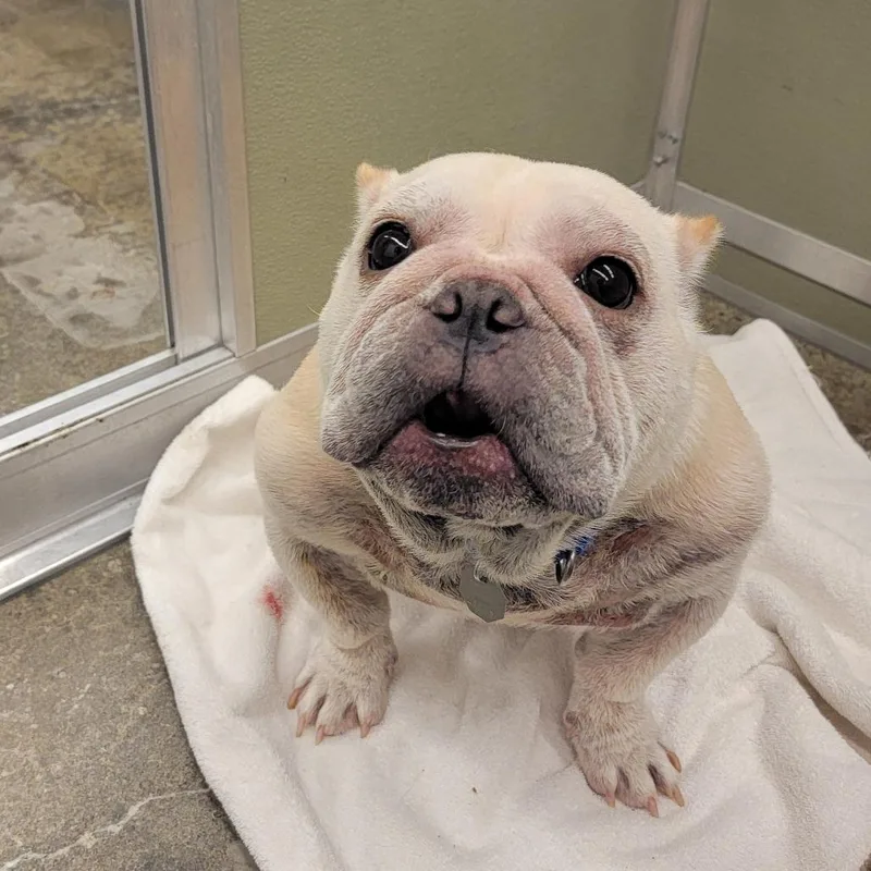 Sassy Pants thumbnail 4