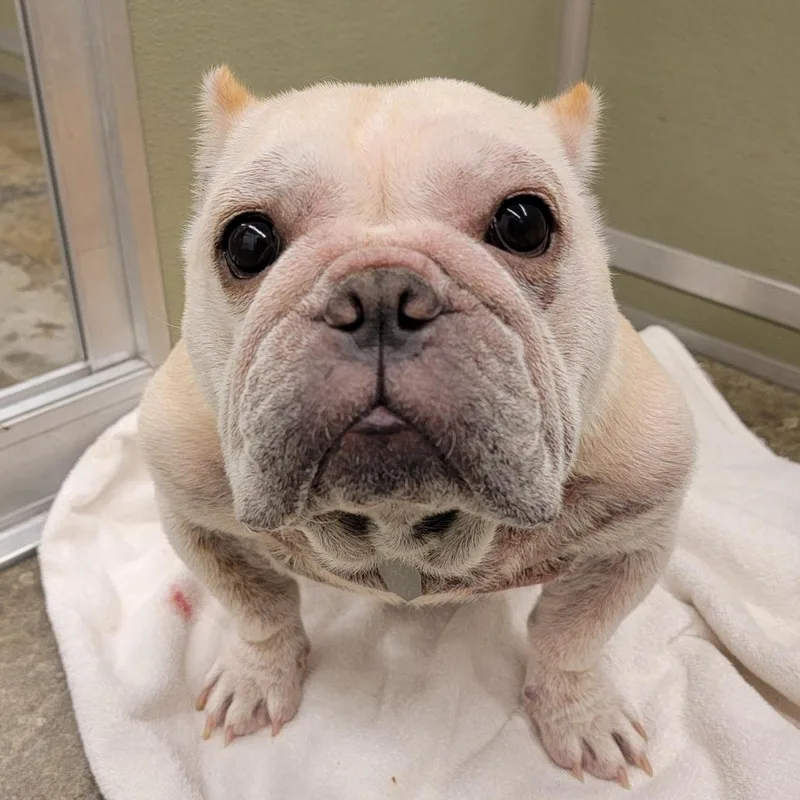 Sassy Pants thumbnail 5