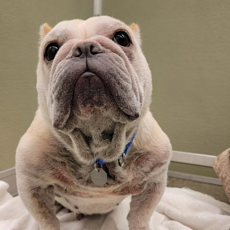 Sassy Pants thumbnail 6