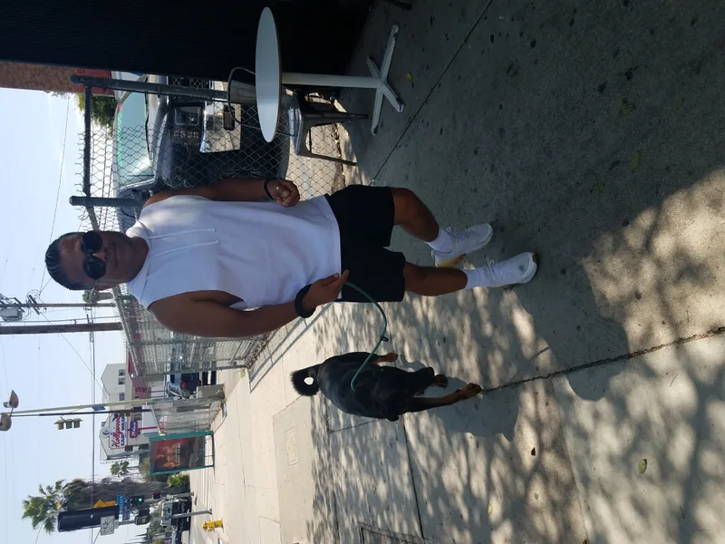 Chocolate Moose Yum!