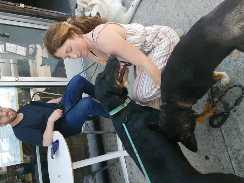 Chocolate Moose Yum! thumbnail 2