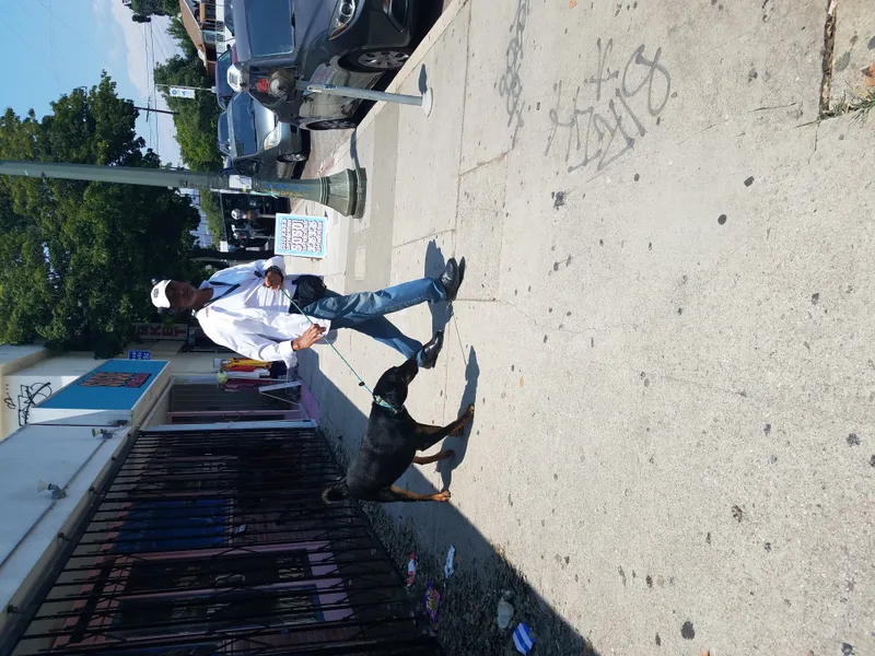 Chocolate Moose Yum! thumbnail 4