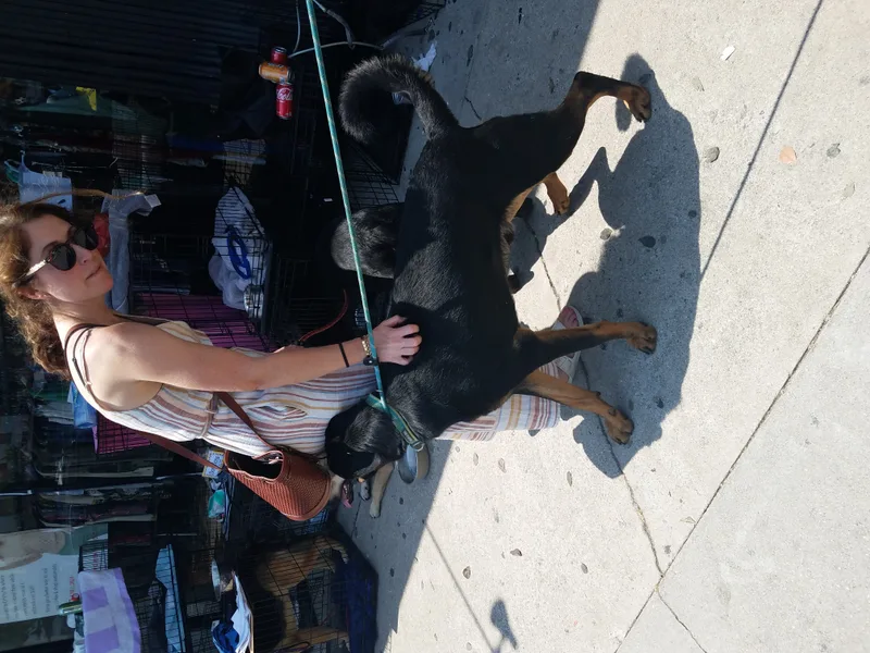 Chocolate Moose Yum! thumbnail 5