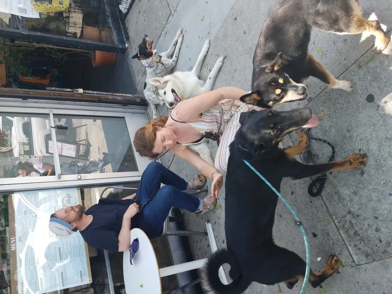 Chocolate Moose Yum! thumbnail 6