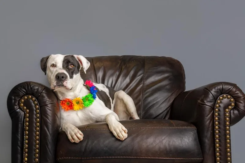 Daisy Buchanan thumbnail 2