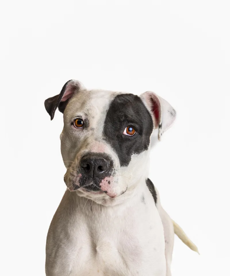 Daisy Buchanan thumbnail 3