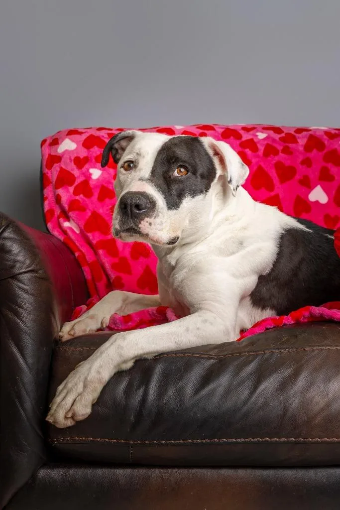 Daisy Buchanan thumbnail 5