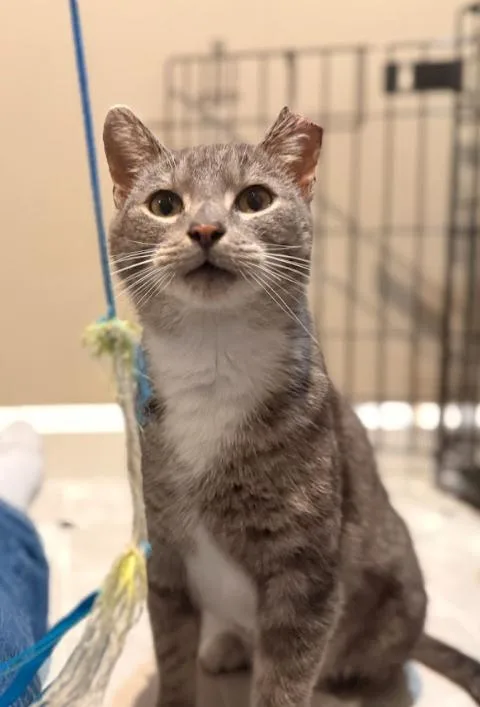 Serendipity thumbnail 2