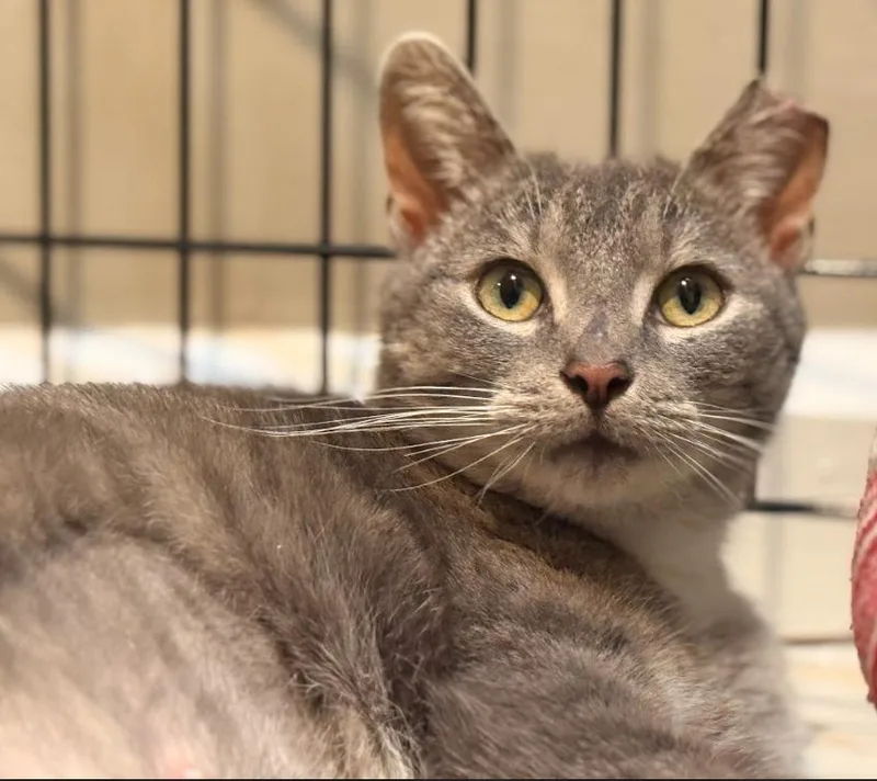 Serendipity thumbnail 3