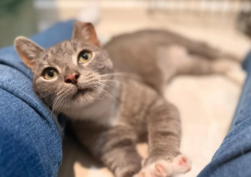 Serendipity thumbnail 5