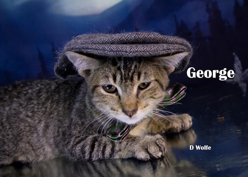 George