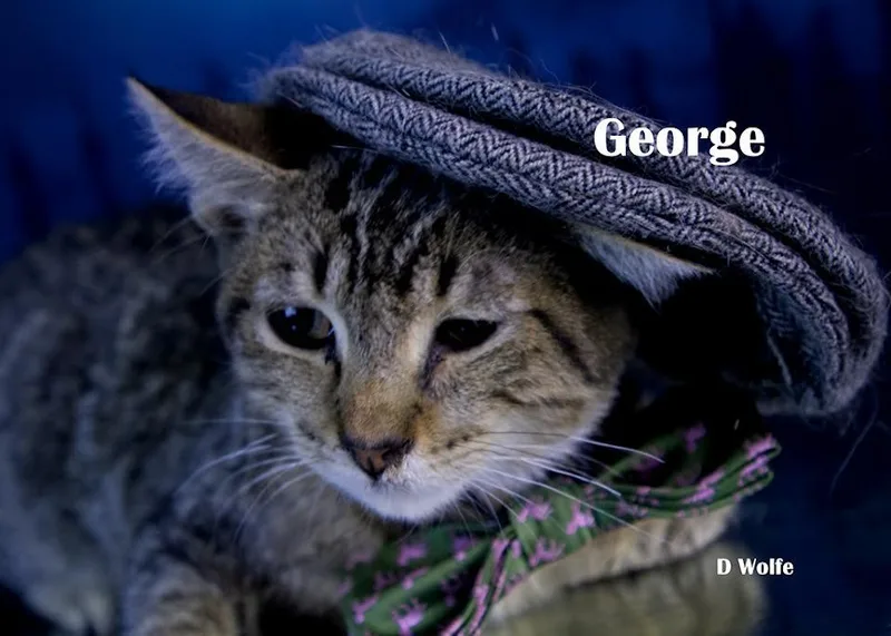 George thumbnail 2