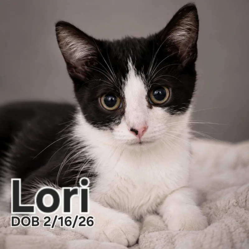 Lori