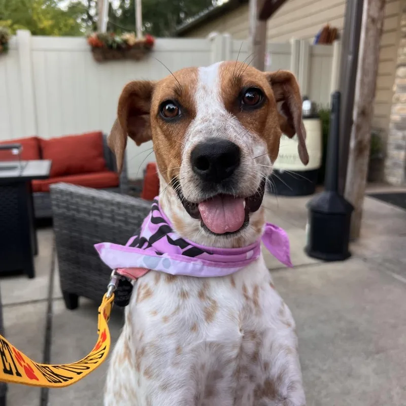 Darby Mom thumbnail 3