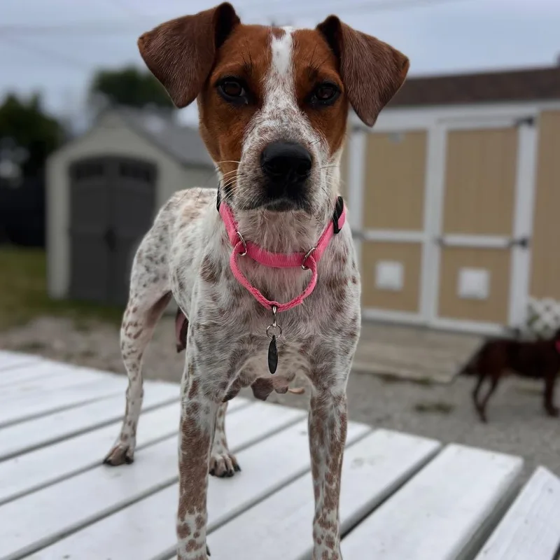 Darby Mom thumbnail 4