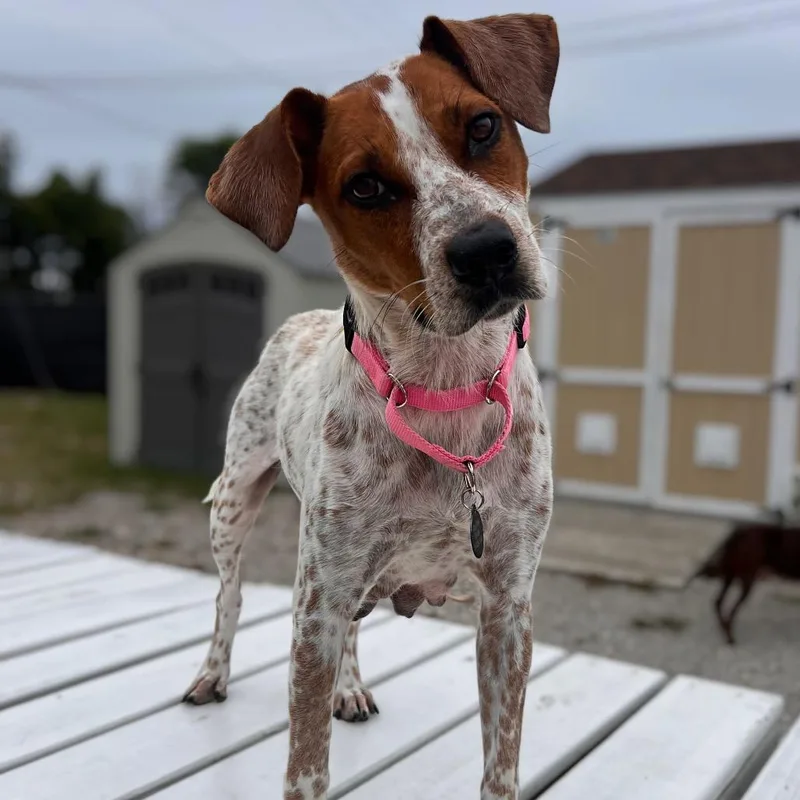 Darby Mom thumbnail 5