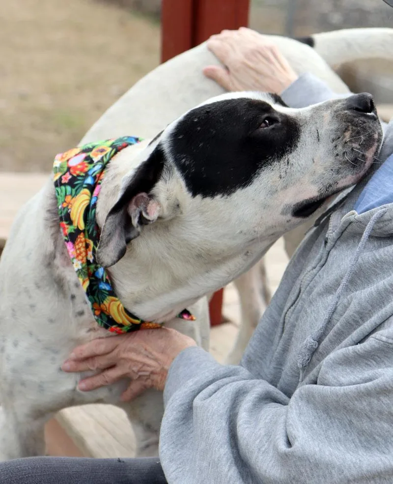 Marshall thumbnail 3