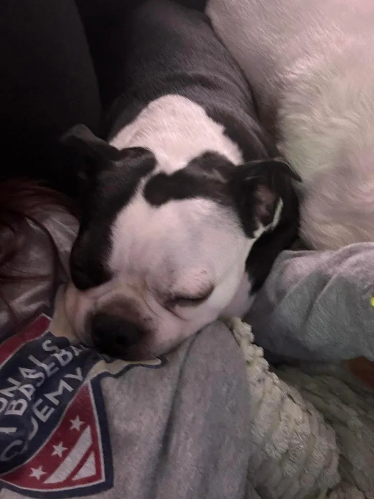 Nori & Frankie thumbnail 4