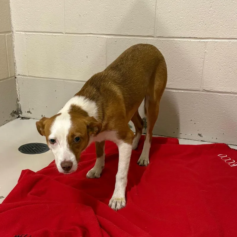 Maribelle thumbnail 2