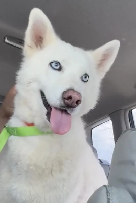 Bella Has Epilepsy thumbnail 2
