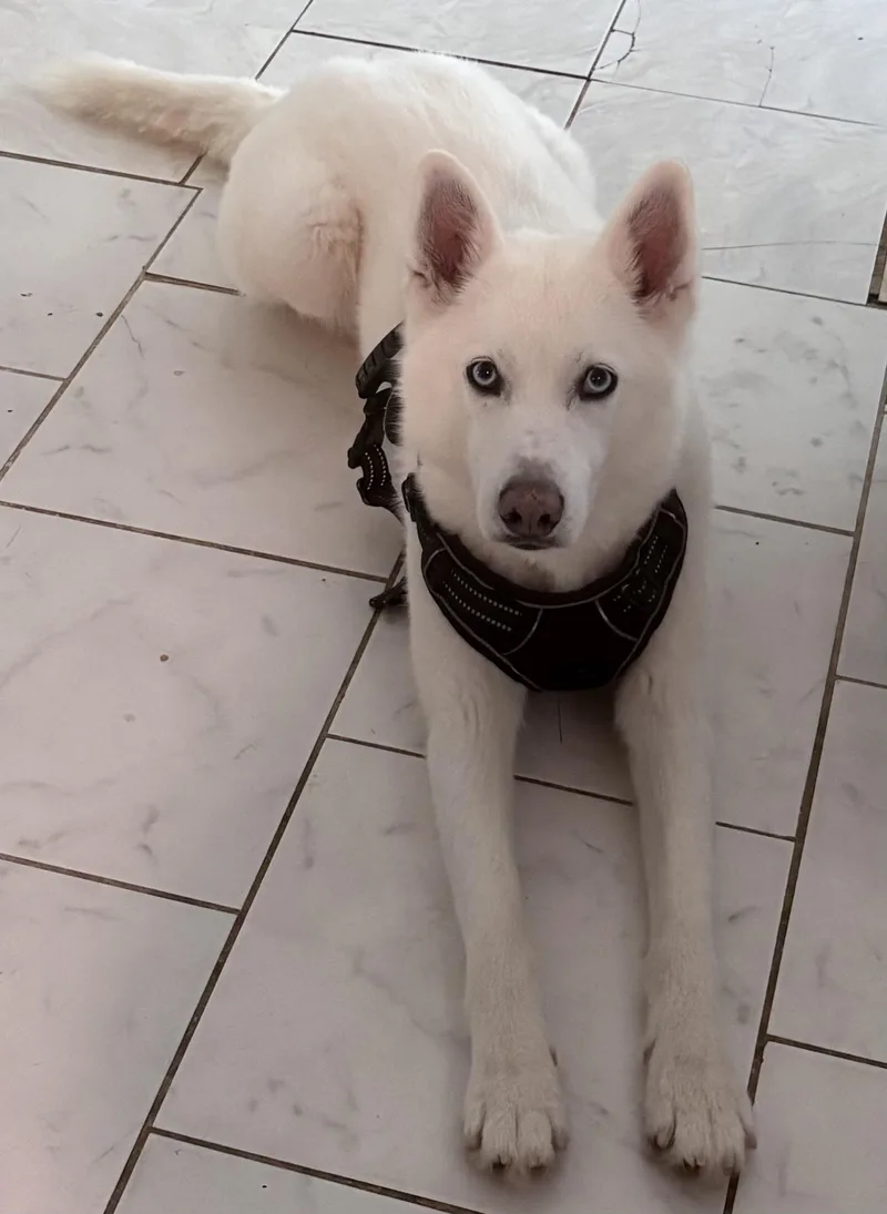 Bella Has Epilepsy thumbnail 3