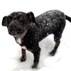 Maverick thumbnail 3