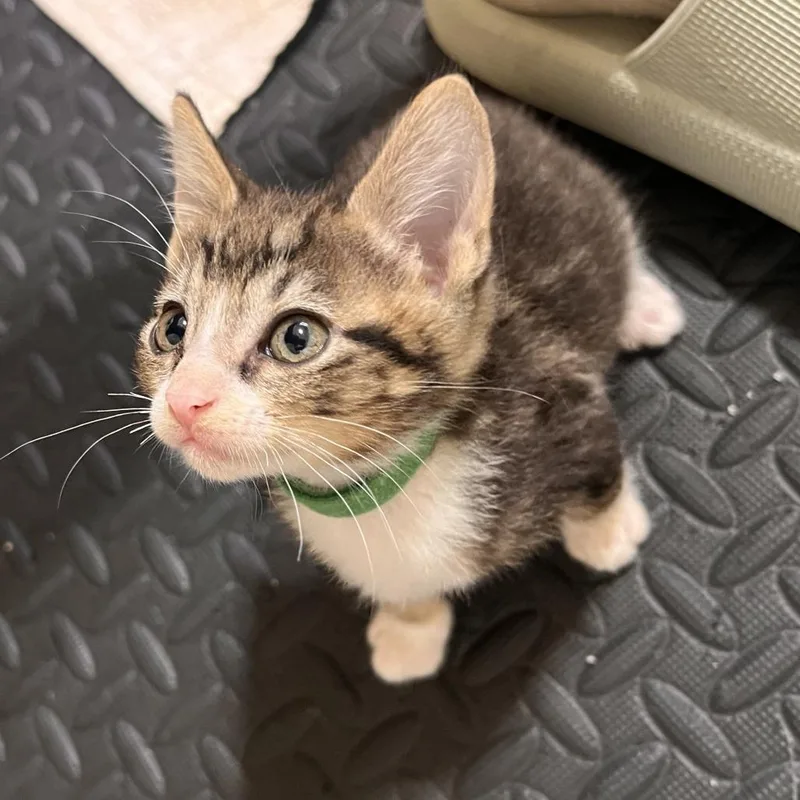 Reel thumbnail 3