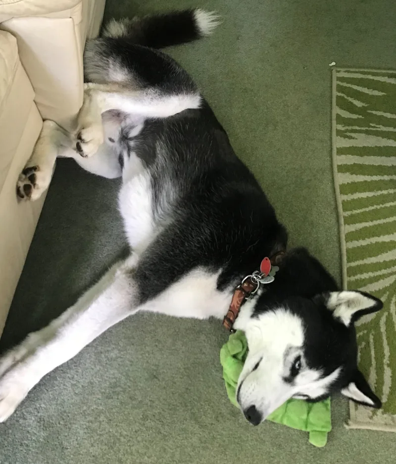 Sir Charles thumbnail 3