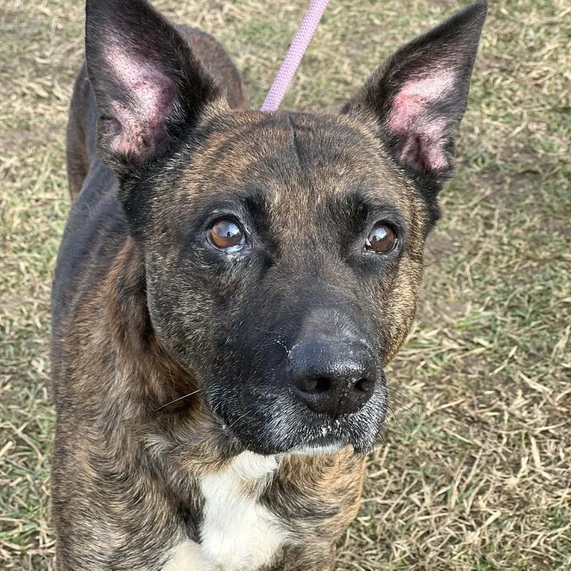 Tiny Tim thumbnail 2