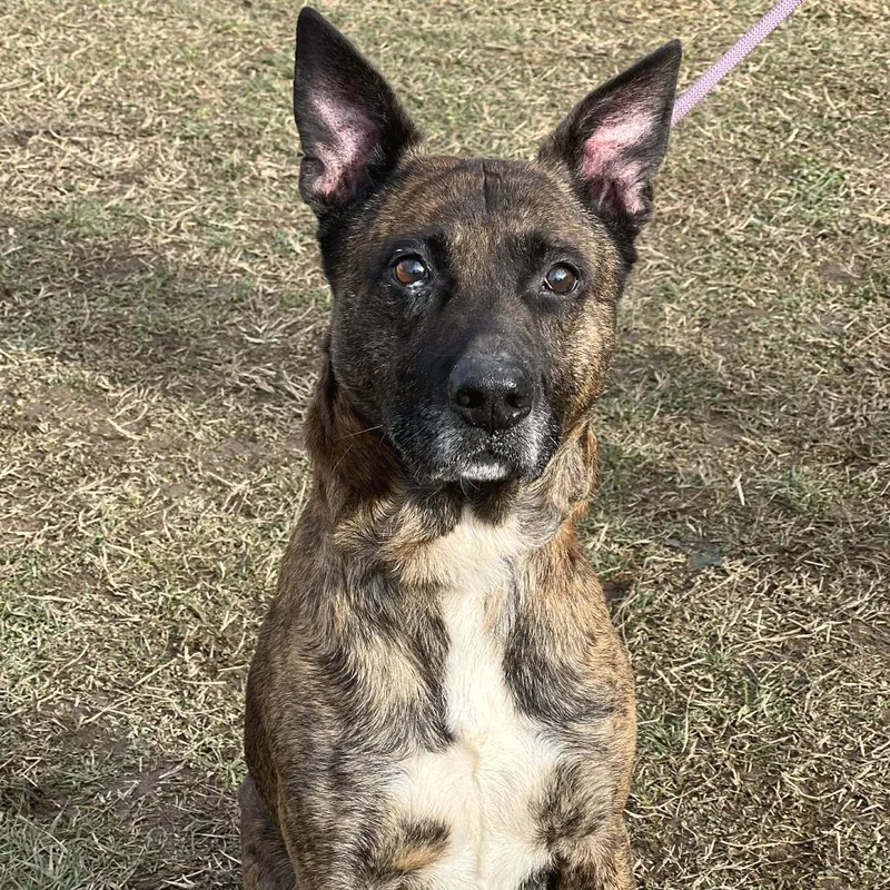 Tiny Tim thumbnail 3