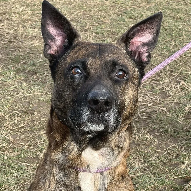 Tiny Tim thumbnail 4